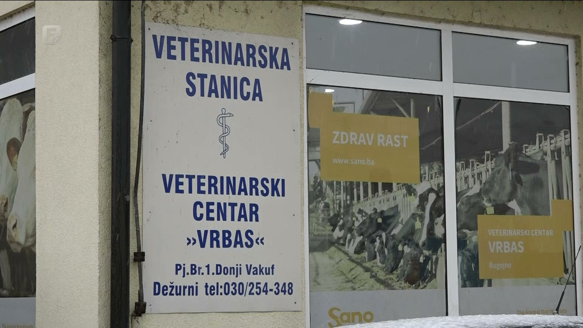 Posljednje dvije godine vakcine za brucelozu nisu nabavljane